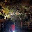 소백산산마루식당 | [공지] 대구 근교 가볼만한 곳 가을 캠핑하기 좋은 곳 가야산 백운동 야영장 2박 3일간의 일정 1...