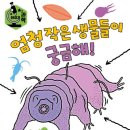 애나동물병원 | 초등과학 동화 &#39; 엄청 작은 생물들이 궁금해! &#39; 서평