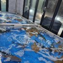 강담 | 가족여행 서귀포중문 가성비 포장횟집, 재방문한 중문회어시장 대방어 고등어회 강담돔 내돈내산후기(가격)