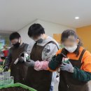 다원학교 이미지