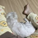 CU 숙대도서관점 | 다 지나간 봄을 애써 붙잡아 보는, 3월의 월간일기