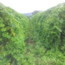 김정기농장 이미지