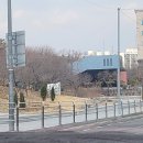 북서울꿈의숲(야외) | 북서울꿈의 숲 야외웨딩 3월 창녕위궁재사 하객 다녀온 후기 도시락 식사