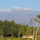 황금들 농장 이미지