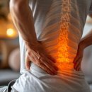 씨에스나무병원 이미지