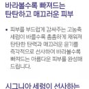 토탈기획 이미지