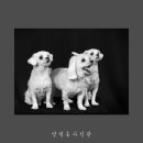 양평동 사진관 이미지