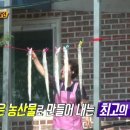 아줌마국수집 이미지
