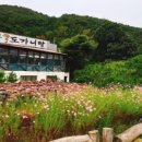 소나무집 이미지