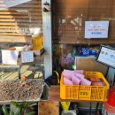 청도시골밥상 | 삼삼한 시골 밥상, 청보리보릿고개에서의 저녁 ( 청도군 이서면 맛집 )