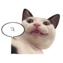 사라약국 이미지