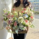 송이온누리약국 | 고잔동꽃집 꼬뜨레 가격 위치 영업시간