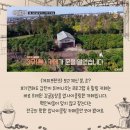 카페6