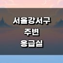 서울 강서구 근처 주말 병원 응급실 정보 큰 24시 야간 진료시간 토요일