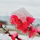 판매왕 치과기공소 이미지