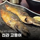 01-102 동구 | [공지] 대전 동구 생선구이 맛집 신라고등어 복합터미널 한식