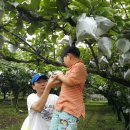 현대사슴농장 이미지