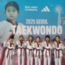 아리솔 태권도 이미지