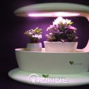 에코가든 이미지