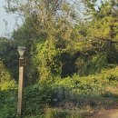 정글펜션 이미지