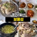 238 | <경기/일산> 일산 보물섬 토종닭 백숙 맛집 후기｜곡산역 숨은 찐맛집 대형 닭 백숙 추천