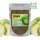 환이랑 이미지