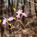 춘양면사무소 이미지