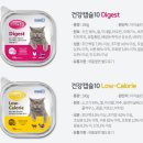정DENTAL 이미지