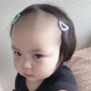 아이참 이미지
