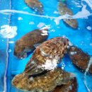 일이삼수산 이미지