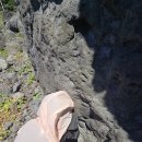 중문단지축구장 | 제주 도릿빨 스노클링 후기｜초보도 반한 서귀포 숨은 물놀이 명소 물벼룩 주의