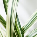 세현성형외과의원 이미지