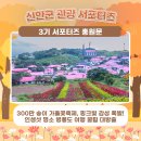 핑크섬 민박 | 🌸 300만 송이 가을꽃축제, 핑크빛 감성 폭발! 인생샷 명소 병풍도 여행 꿀팁 대방출