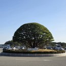 단계조각공원 화장실 | [강릉] 정동진 썬크루즈 호텔 오션뷰 객실, 조식, 조각공원 후기