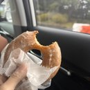 여수 맛집투어:황소식당/노랑고래/바다김밥/갓버터도나스 등