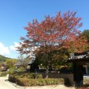 용인해피트리펜션