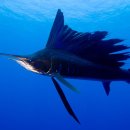 아트포엠미술학원 이미지