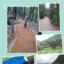 자연시간 이미지