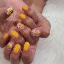 스마일데이지(Smile Daisy) 이미지