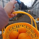 삼일산장 이미지