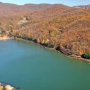 율동행정사사무소 이미지