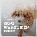 24시 서초바른동물병원 | 반포동물병원 강아지 삼겹살 비닐 섭취 먹었을때 구토유발 [서초바른동물병원]