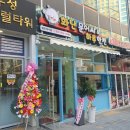 2동탄 새로 오픈한 타코야끼집 [화난 문어씨&amp;하루한캔]