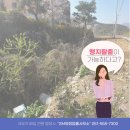 SM 행정사 사무소 이미지