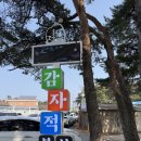 블루쉘 - 강남구 선릉로 574 | [강릉 여행] 반려견 동반 가능한 현지인 찐 맛집 ‘감자적본부’ & 카페 ‘블루쉘’ 후기