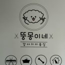 몽이네컷 이미지