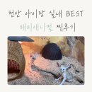 가야진사공원 축구장 | 천안 아이랑 실내 가볼만한곳 BEST 해피애니멀｜동물체험·키즈카페·할인 총정리