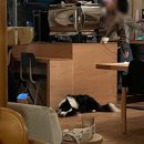 왕산로19길 | 이렇게 얻어만 먹어도 되는 걸까22222 | 백수 11월 1주 일상