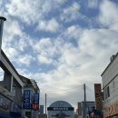 태안 서부시장 | 신토불이 수산 | 꽃게, 소라, 가리비 구매 후기(현재 시세, 등)