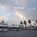 제주아비앙또 | 제주여행 1탄 (사고나서 반도 못즐긴 후기) 제주아비앙또, 성산오조미야, 호랑호랑카페